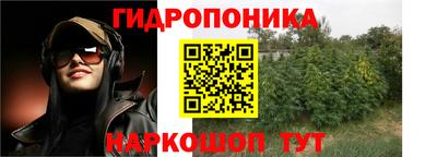 кристаллы Новодвинск