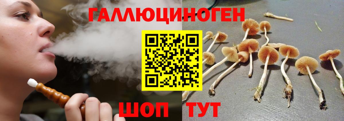 Псилоцибиновые грибы MAGIC MUSHROOMS Алапаевск